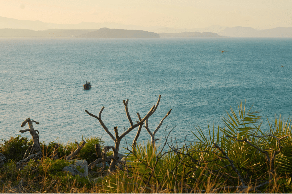 Tuy Hoa Coastline